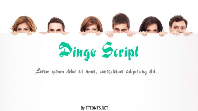 Dingo Script example
